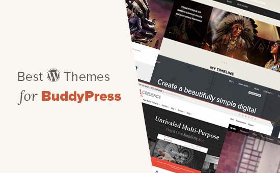 20 Beste BuddyPress-thema's voor uw WordPress-website / vitrine