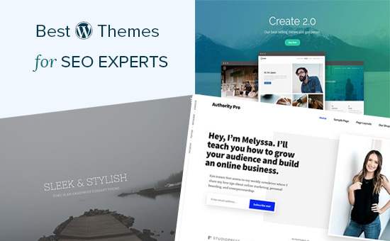 24 beste WordPress-Themes für SEO-Experten