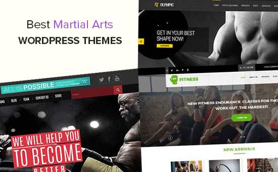 Los 25 mejores temas de WordPress para artes marciales / Escaparate