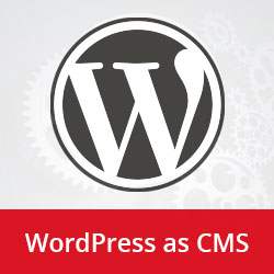 25 Exemple de WordPress folosite ca CMS / Showcase