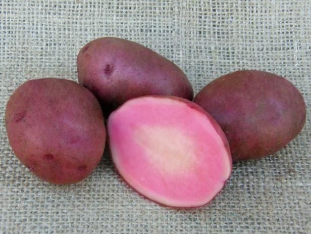 Le patate sono velenose? / All'aperto