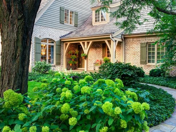 Zorg voor hortensia's / buitenshuis