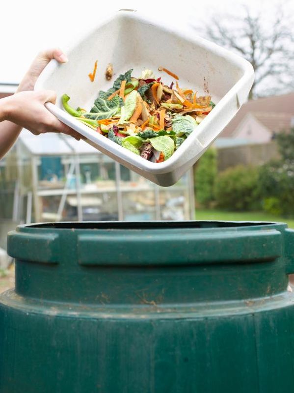 Compost Bin Basics / Utomhus