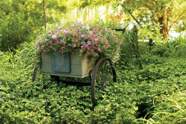 Erstellen Sie an einem Wochenende einen charmanten Bauerngarten / Draußen