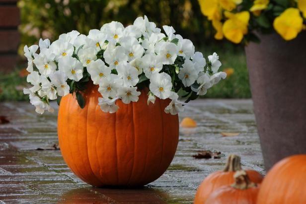 Ideas de otoño de contenedores para celebrar la temporada / Al aire libre