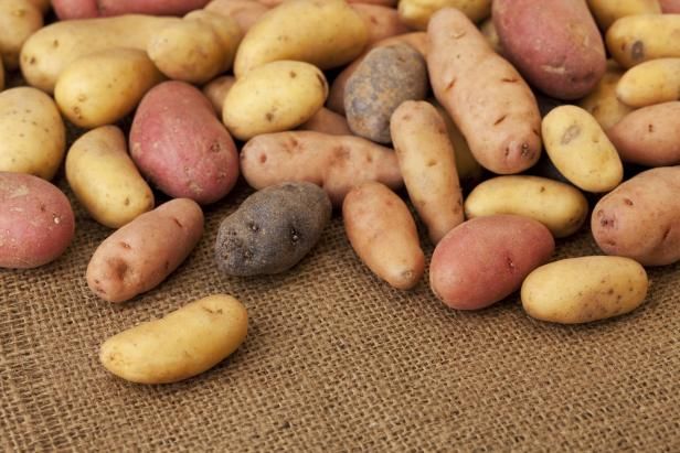 Growing Fingerling Potatoes / buitenshuis