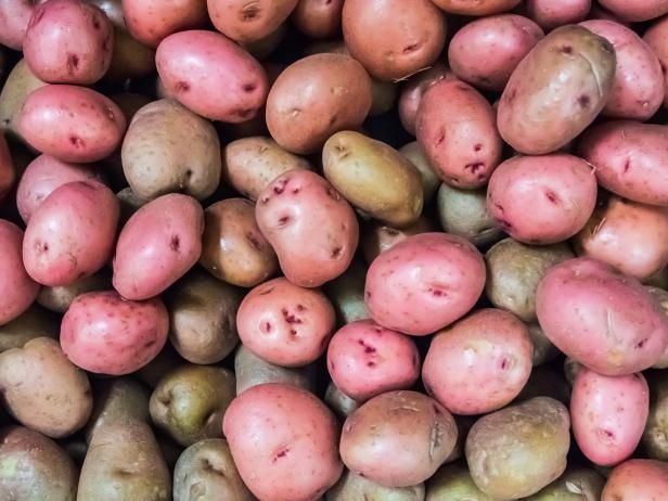 Groeiende biologische aardappelen / buitenshuis