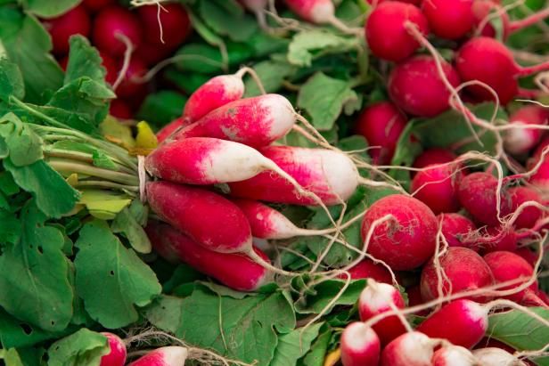 Groeiende biologische radijsjes / buitenshuis