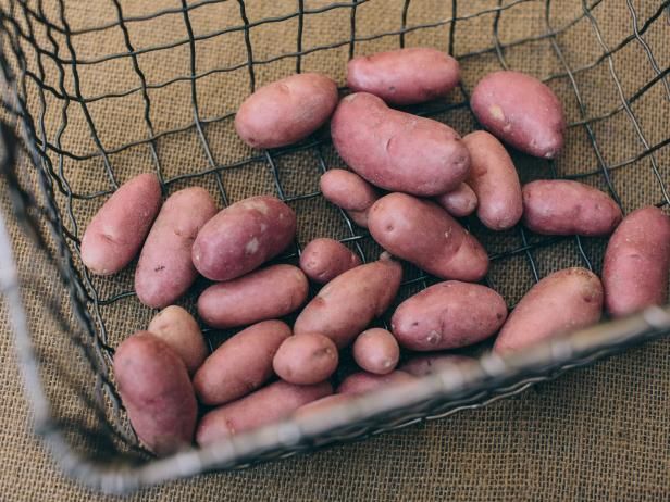 Groeiende rode aardappelen / buitenshuis