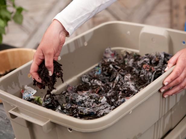 Hur Välj Worm Bins För Garden Composting / Utomhus