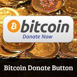 Cum de a adăuga un Bitcoin Donate Button în WordPress folosind BitPay / Tutoriale