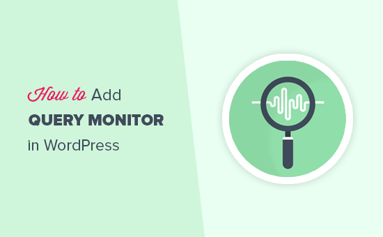 Come aggiungere un monitor di query WordPress sul tuo sito