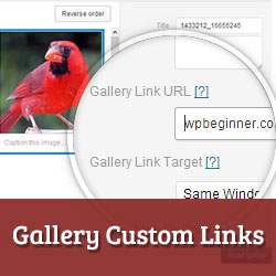 Comment ajouter des liens personnalisés aux images de la galerie dans WordPress