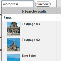 Cum se adaugă Dropdown Find-As-You-Type în WordPress Search