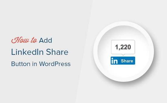 Så lägger man till Official LinkedIn Share Button i WordPress / Handledningar