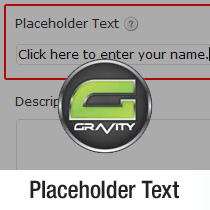 So fügen Sie Platzhaltertext in Schwerkraftformulare hinzu / Tutorials
