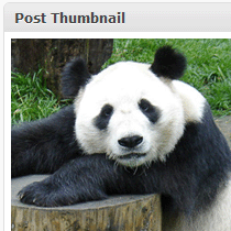 Hoe Post Thumbnail toevoegen aan uw WordPress RSS-feeds / tutorials