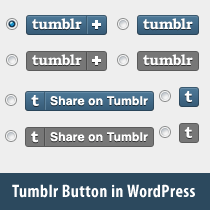 Cómo agregar el botón Compartir de Tumblr en WordPress / Tutoriales