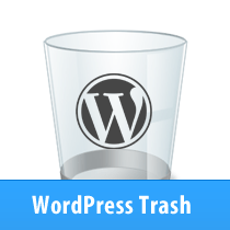 Come svuotare automaticamente il cestino di WordPress / Esercitazioni