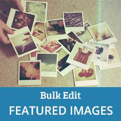 Så här Bulk Redigera Utvalda bilder i WordPress