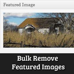 Cómo eliminar a granel imágenes destacadas de publicaciones en WordPress / Tutoriales
