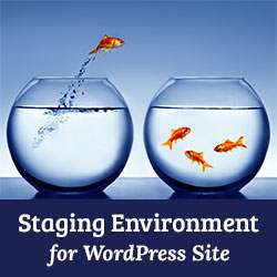 Comment créer un environnement de transfert pour un site WordPress / Tutoriels