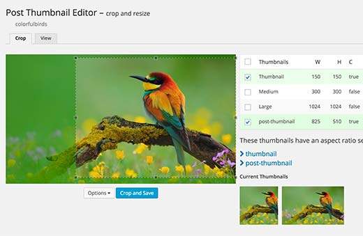 Cum să Crop și Editați WordPress Post Thumbnails / Pluginurile WordPress