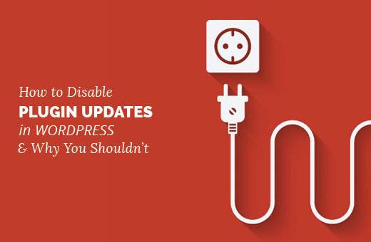 Plugin-updates uitschakelen in WordPress en waarom niet