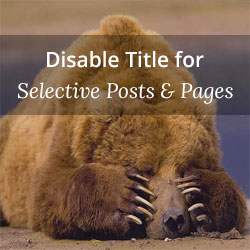 Come disattivare il titolo per i post selettivi in ​​WordPress