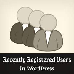 So zeigen Sie kürzlich registrierte Benutzer in WordPress an / Tutorials