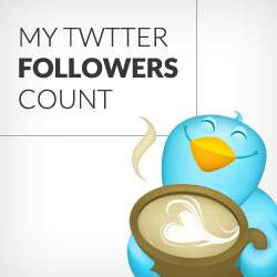 Slik viser Twitter Followers Count som tekst i WordPress / Guider