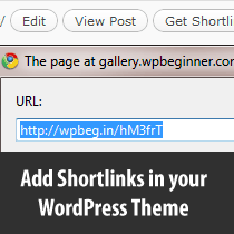 Cómo mostrar los enlaces cortos de WordPress en tu tema