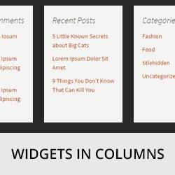 Cómo mostrar los widgets de WordPress en columnas / Plugins de WordPress
