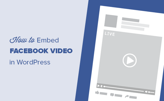 Ein Facebook-Video in WordPress einbetten / Tutorials