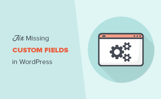 Comment réparer les champs personnalisés qui ne s'affichent pas dans WordPress / Tutoriels