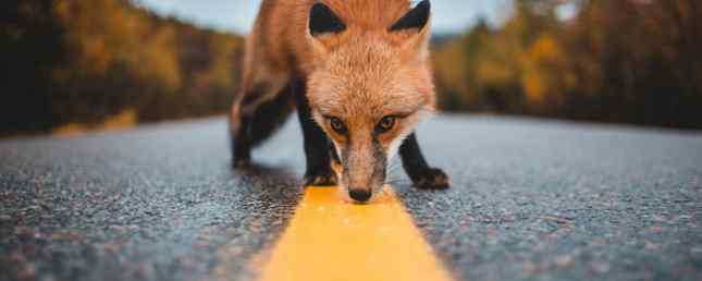 Så här fixar du Firefox Proxy-servern när den nekar anslutningar / internet