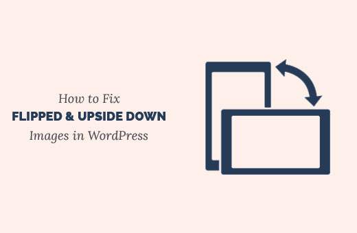 Come risolvere Upside Down o immagini capovolte in WordPress