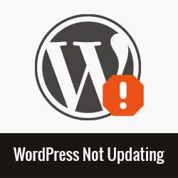 Hur fixar WordPress webbplats inte uppdateras direkt / Handledningar