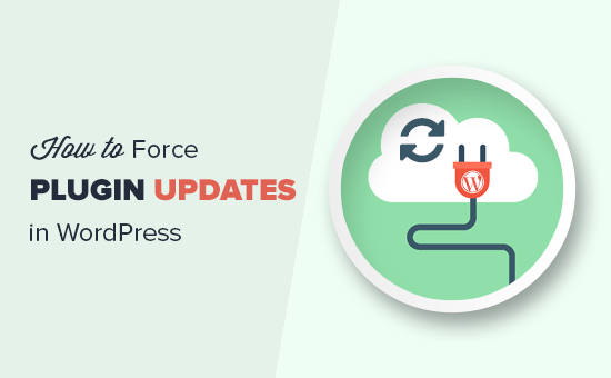 Cómo obligar a WordPress a buscar actualizaciones de complementos / Plugins de WordPress
