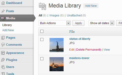 Cómo obtener la URL de las imágenes que subes en WordPress