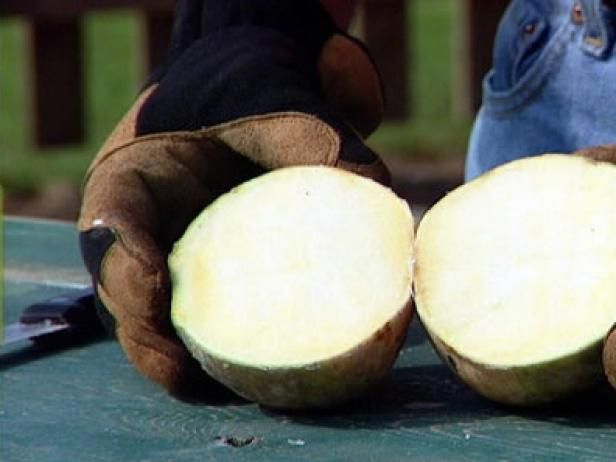 Wie man Rutabagas (Swede) züchtet / Draußen