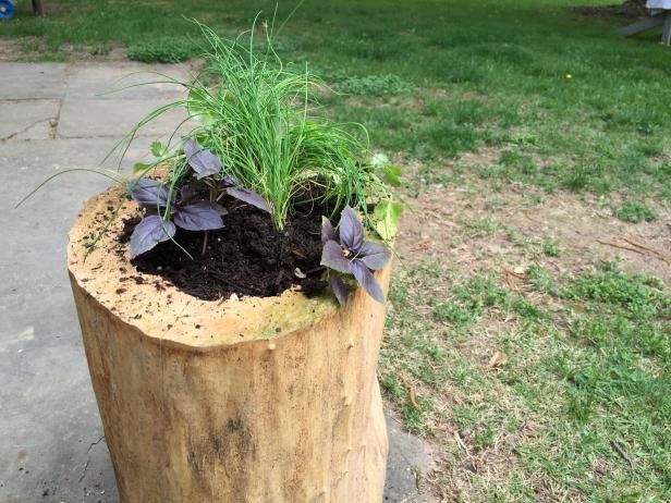 Cómo hacer un plantador de hierbas de registro / Al aire libre