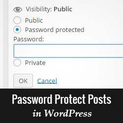 Hoe een pagina of bericht met een wachtwoord te beveiligen in WordPress