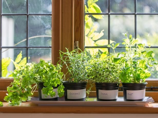 Hvordan plante en Windowsill Herb Garden / Utendørs