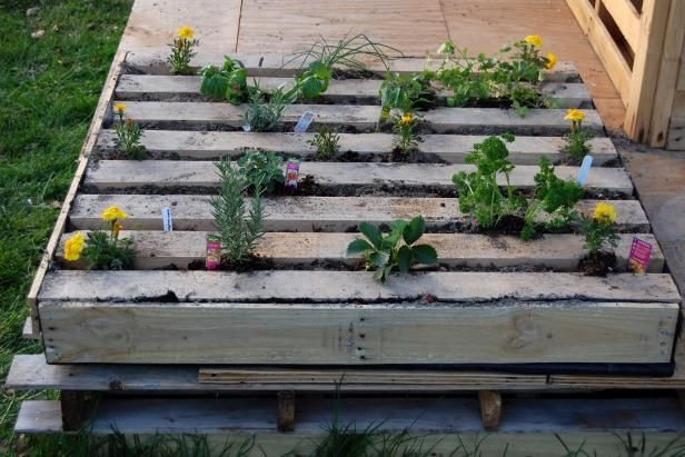 Hoe een kruidentuin planten in een Salvage houten pallet / buitenshuis