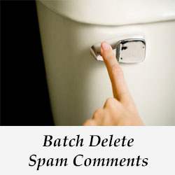 Comment supprimer rapidement des commentaires de spam dans WordPress / Plugins WordPress