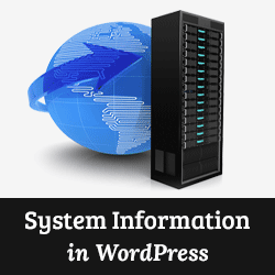 Comment obtenir rapidement des informations système pour votre site WordPress