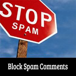 Cum de a reduce spamspot Comentariu cu Cookies pentru comentarii / Pluginurile WordPress