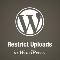 Cum se limitează încărcările la tipuri de fișiere specificate numai în WordPress / Pluginurile WordPress