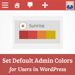 Festlegen des Standard-Admin-Farbschemas für neue Benutzer in WordPress / Tutorials